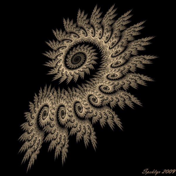 Feather Spiral 2.jpg