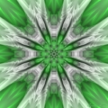 Mandala Verde 2